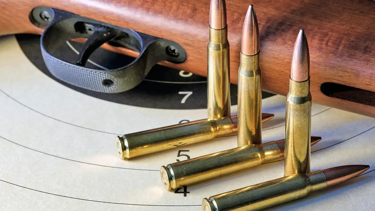 Rifles de caza — Tipos y recomendaciones