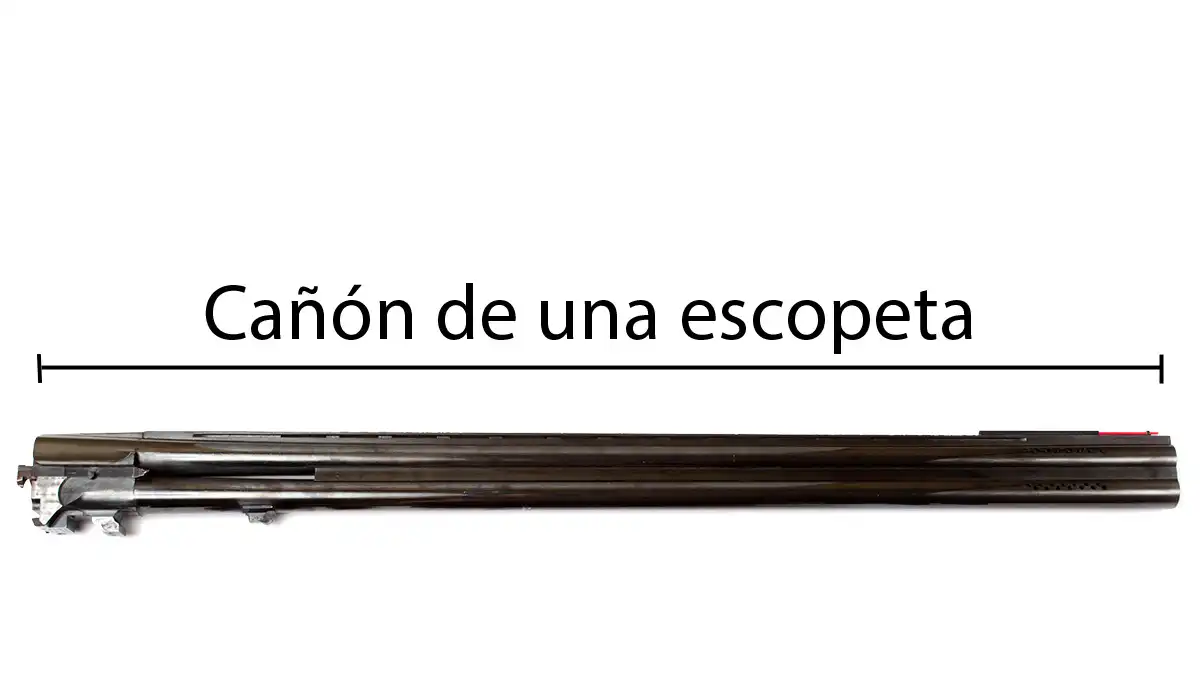 Cañón de una escopeta