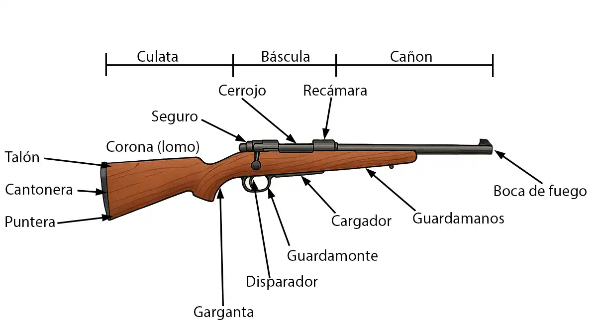 Los rifles de cerrojo para el permiso de armas